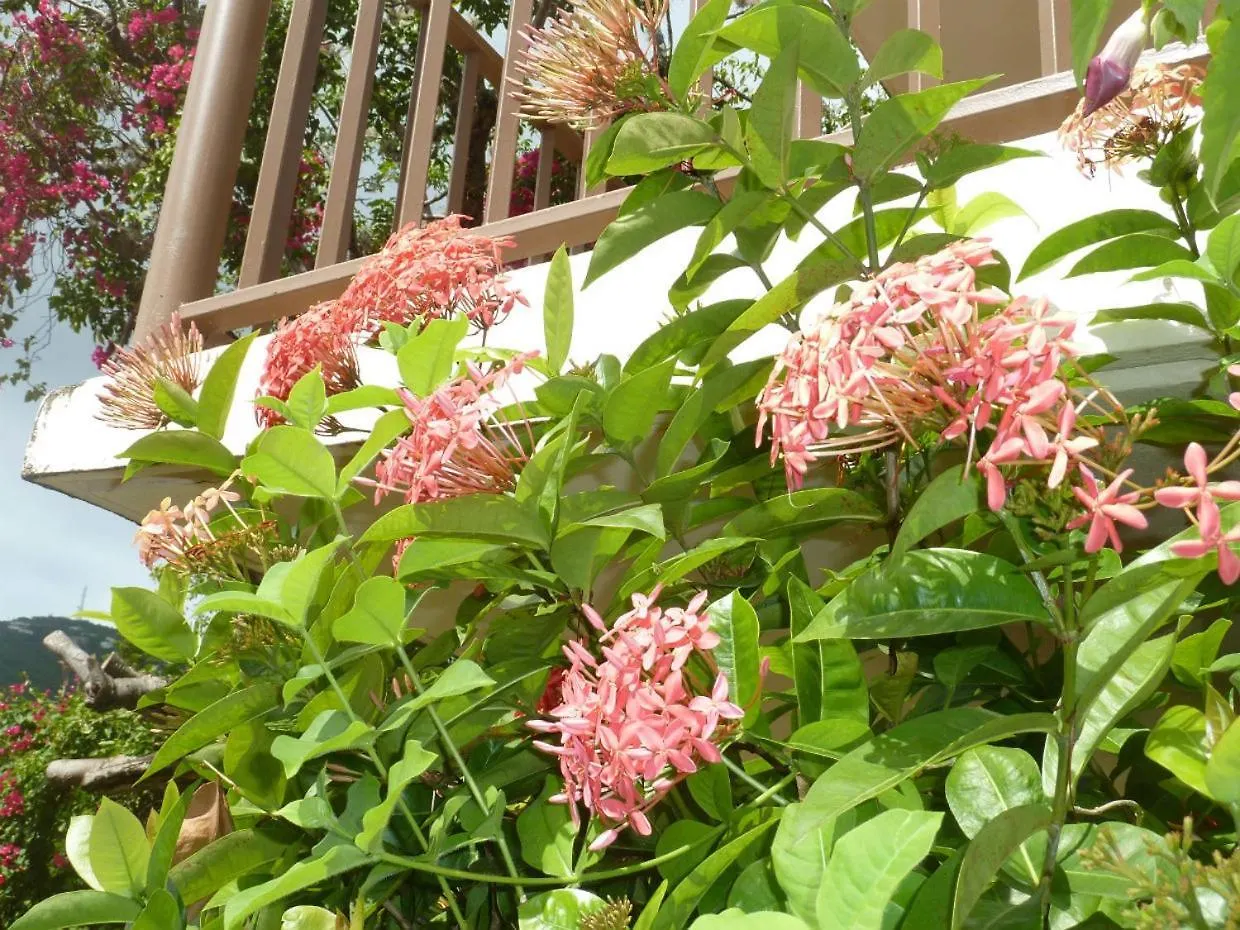 Galleon House Hotel Charlotte Amalie Bed & Breakfast